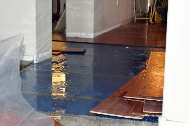 Professional Burst Pipe Cleanup technician working in Winn, MI